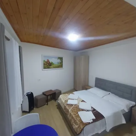 Te Agostini Тети