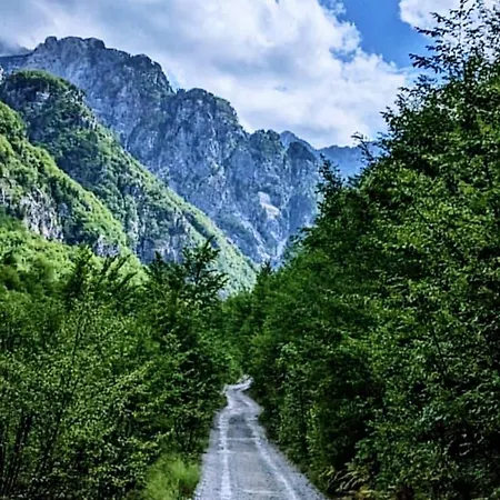 Te Agostini 3* Тети