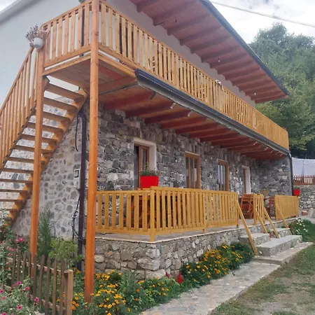 Te Agostini 3* Тети