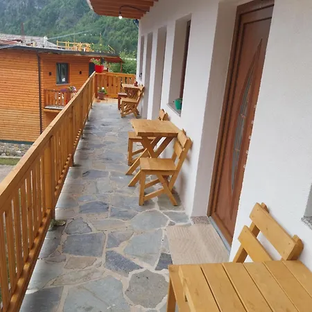 Te Agostini 3* Тети